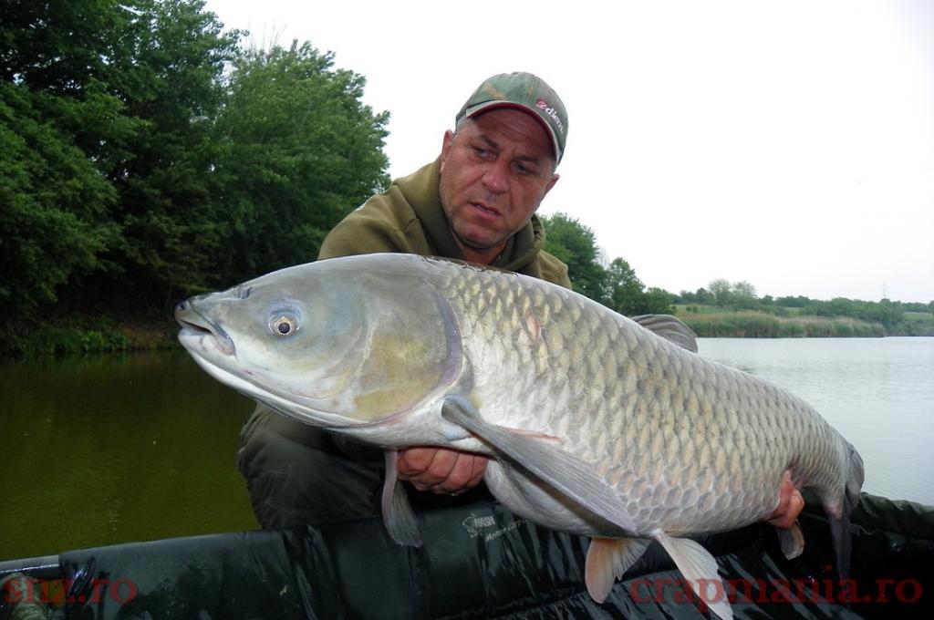 Tancabesti 2013 - 17,29kg